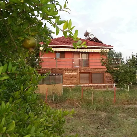 Sun Dalyan Hotel And Organic Farm
