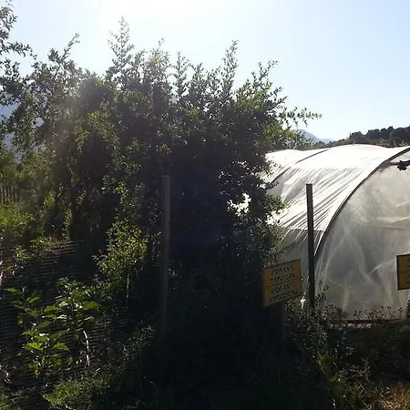 Sun Dalyan Hotel And Organic Farm ダルヤン