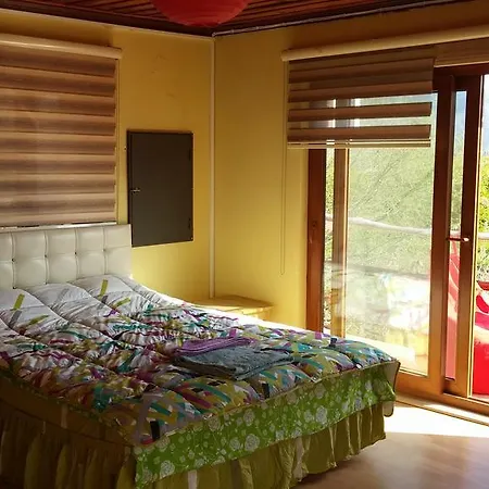 Отель Sun Dalyan Hotel And Organic Farm *