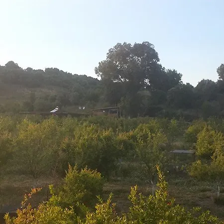 Sun Dalyan Hotel And Organic Farm