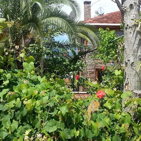 호텔 Sun Dalyan Hotel And Organic Farm 달리안