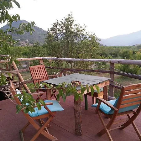 호텔 Sun Dalyan Hotel And Organic Farm 달리안
