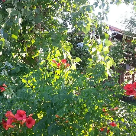 Hotel Sun Dalyan Hotel And Organic Farm *