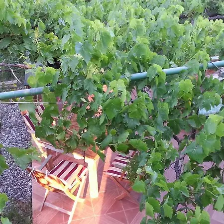 Sun Dalyan Hotel And Organic Farm Hotell