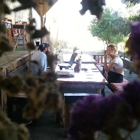 Отель Sun Dalyan Hotel And Organic Farm