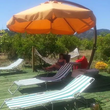 Sun Dalyan Hotel And Organic Farm