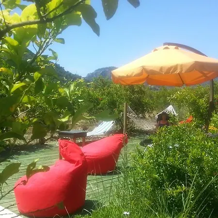 Отель Sun Dalyan Hotel And Organic Farm Дальян