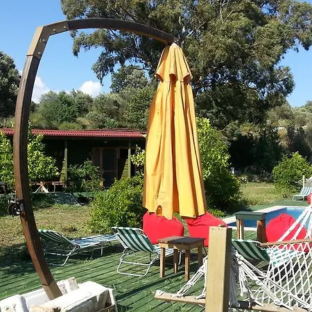 Отель Sun Dalyan Hotel And Organic Farm