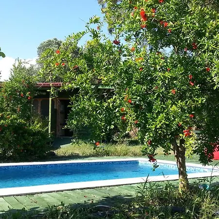 Sun Dalyan Hotel And Organic Farm Hotell