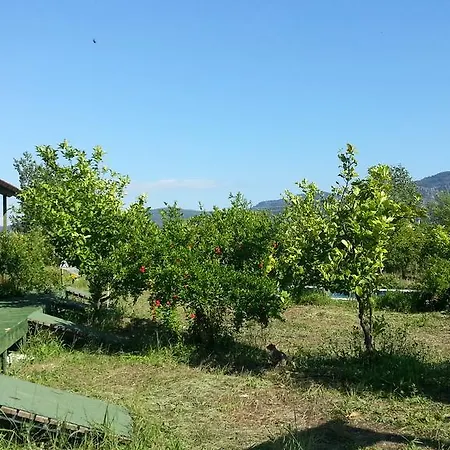 Sun Dalyan Hotel And Organic Farm