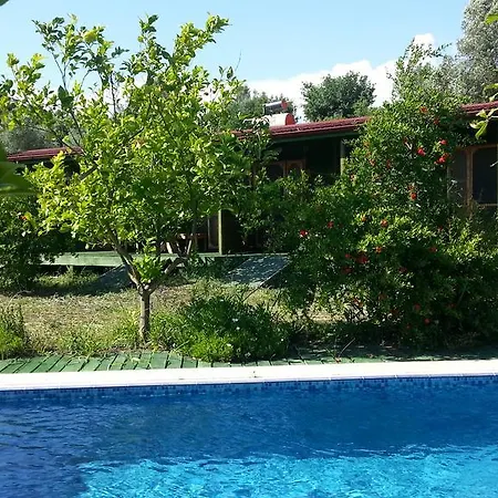 Отель Sun Dalyan Hotel And Organic Farm