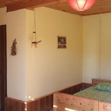 Отель Sun Dalyan Hotel And Organic Farm