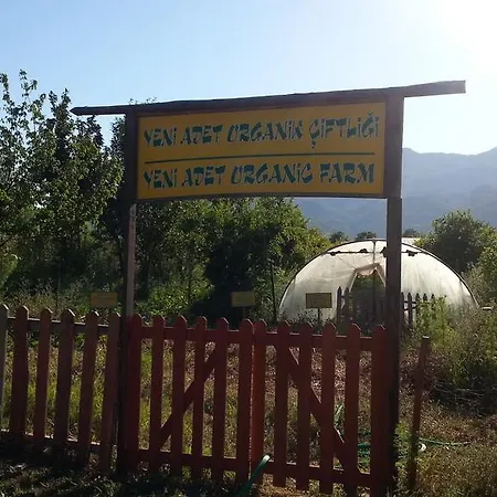 Отель Sun Dalyan Hotel And Organic Farm