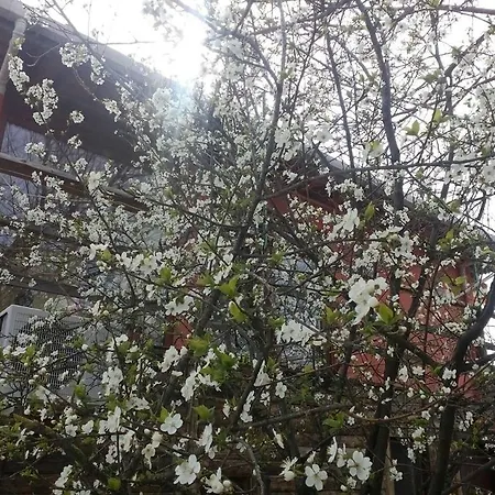 Sun Dalyan Hotel And Organic Farm